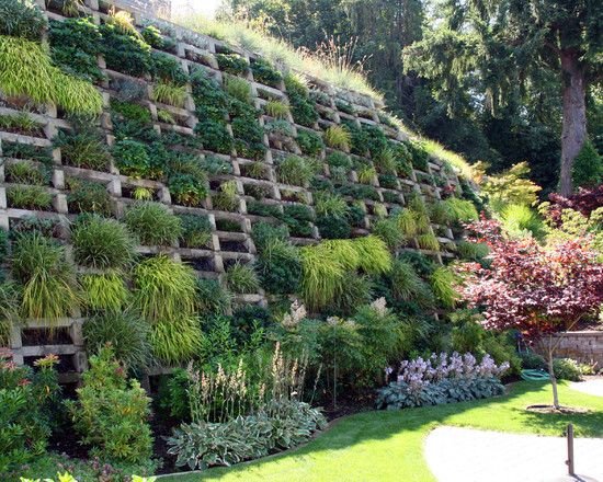 jardim na encosta fortificação pedras aterro plantas exóticas