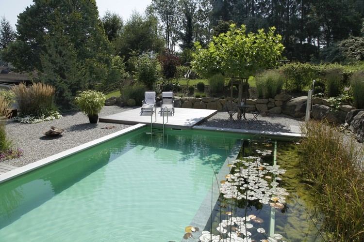 Lago orgânico para nadar no jardim piscina natural-lagoa-nenúfares