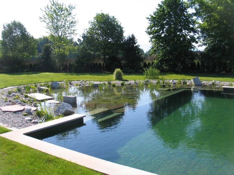 bio-lagoa-jardim-piscina natural