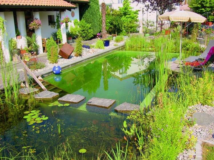 piscina-jardim-criar-verde-água natural