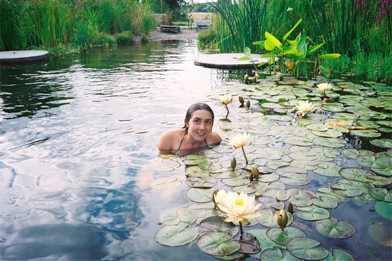 piscina natural jardim nenúfares purificação de água