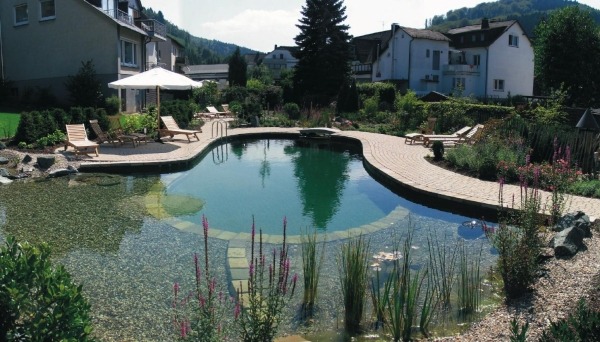 piscina natural zona de plantas de jardim zona de natação