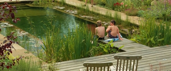 Jardim orgânico de lago para nadar com plantas aquáticas quase naturais