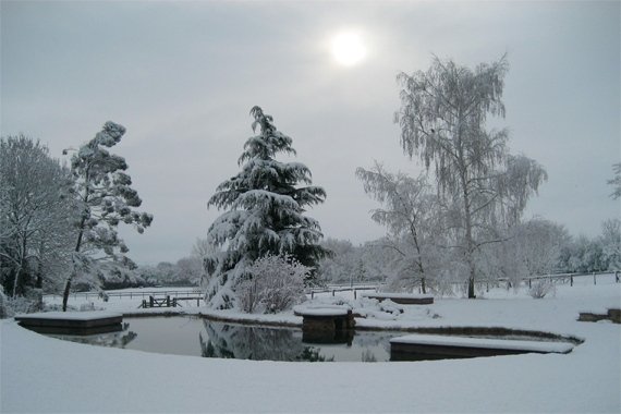 Não drene a lagoa orgânica do jardim no inverno