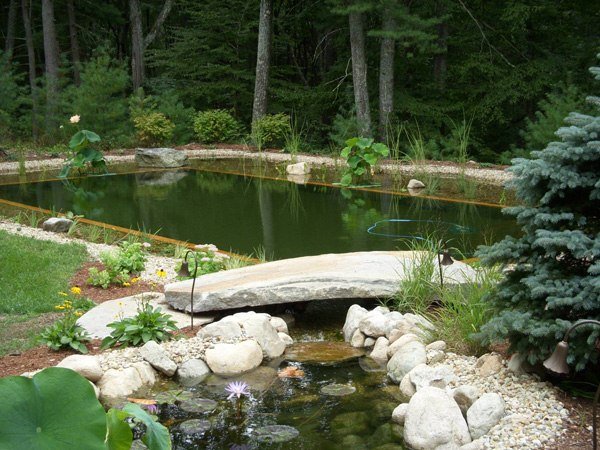 Bio lagoa para nadar no jardim parece perto das vantagens da natureza