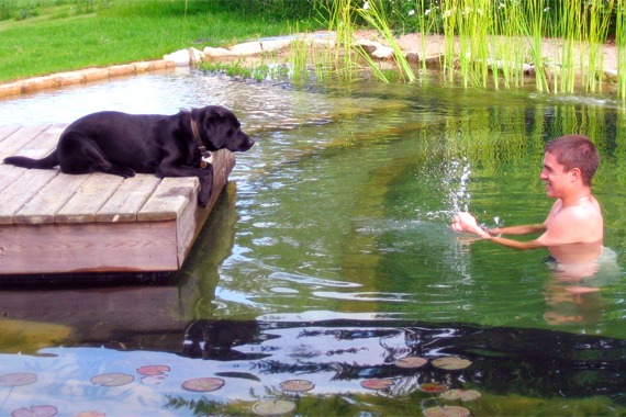 Lago orgânico para nadar no jardim Vantagens Quebrando mitos