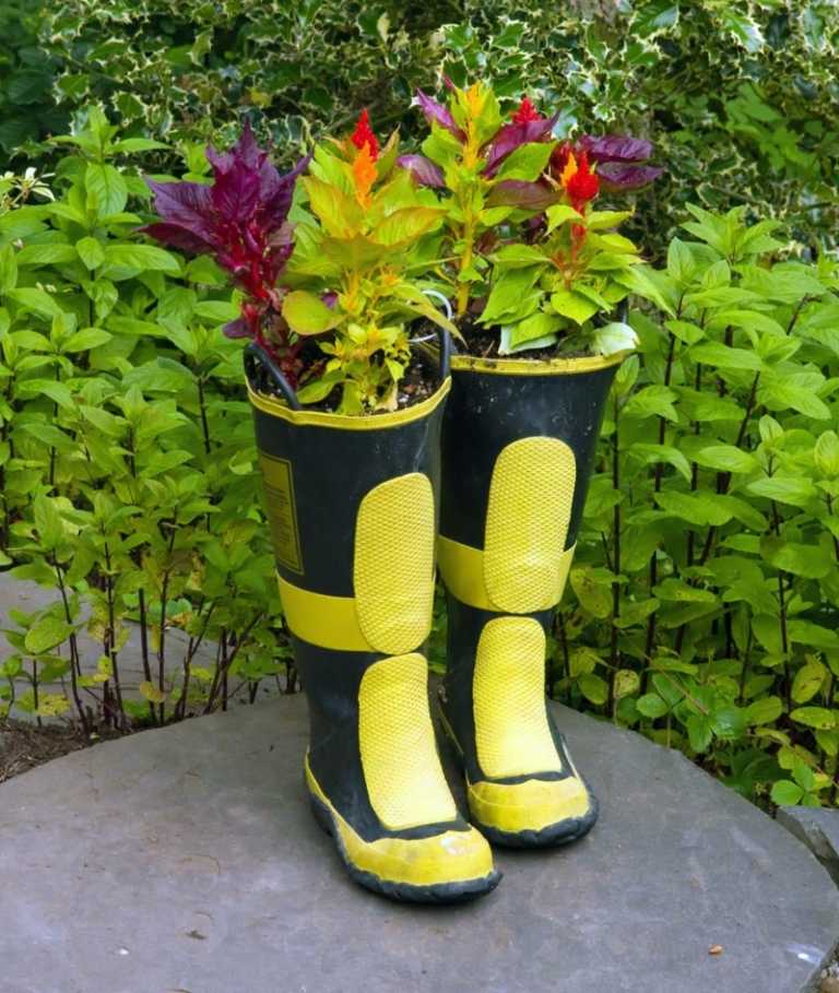 sapatos velhos botas de planta amarelo preto verão flores jardim ideia