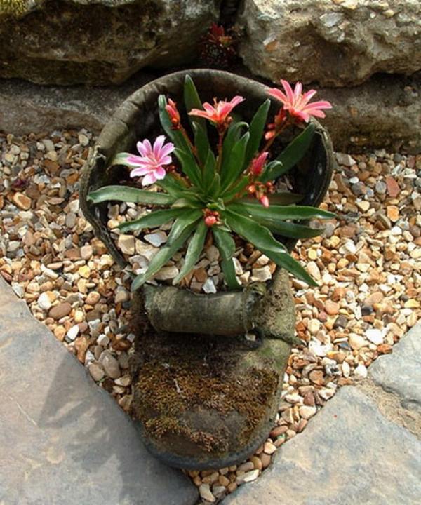 Jardim de pedras com decoração de pedras com suculentas botas velhas Dicas