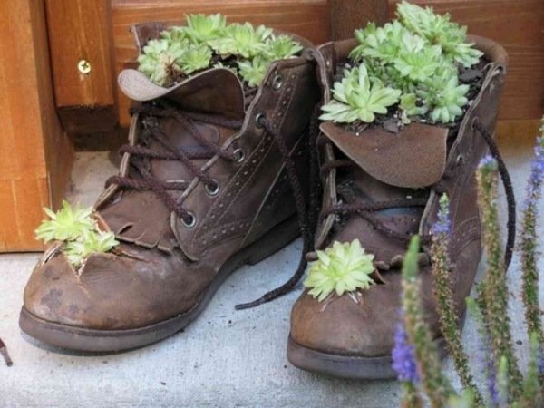 Botins - decoração de jardim ideias - sapatos antigos tendências varanda
