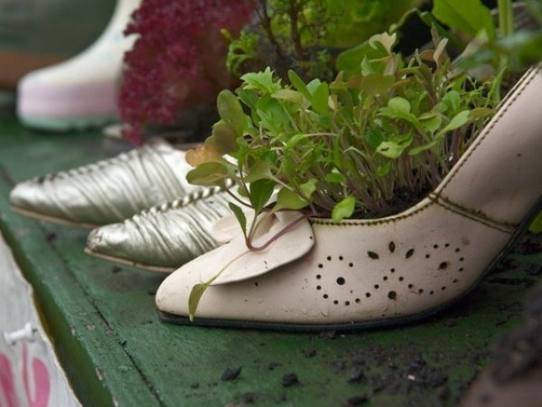 Plantas de sacada de ideias de jardim inserir recipiente - reutilização de calçados