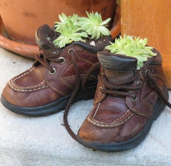 Sapatos infantis - couro para plantas suculentas - com ideias para jardins de flores