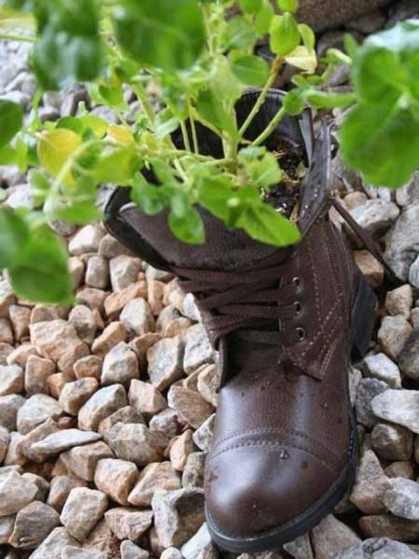 Botas de couro - velho projeto de reciclagem quebrado - plantio de design jardim flores fáceis de cuidar