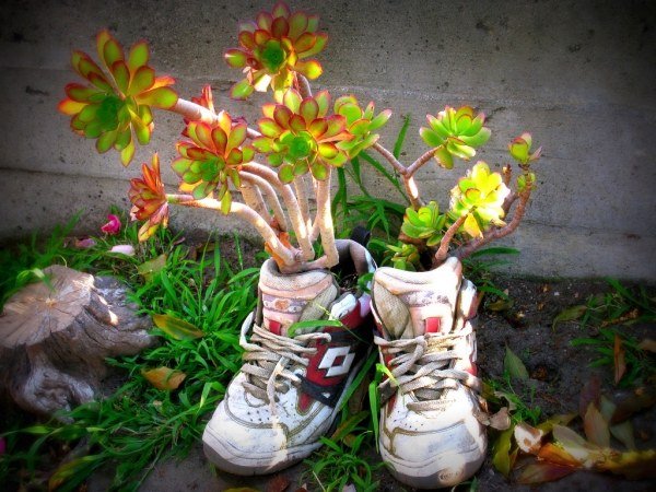 Tênis infantil ideias para upcycling, decoração de jardim, plantas, vasos