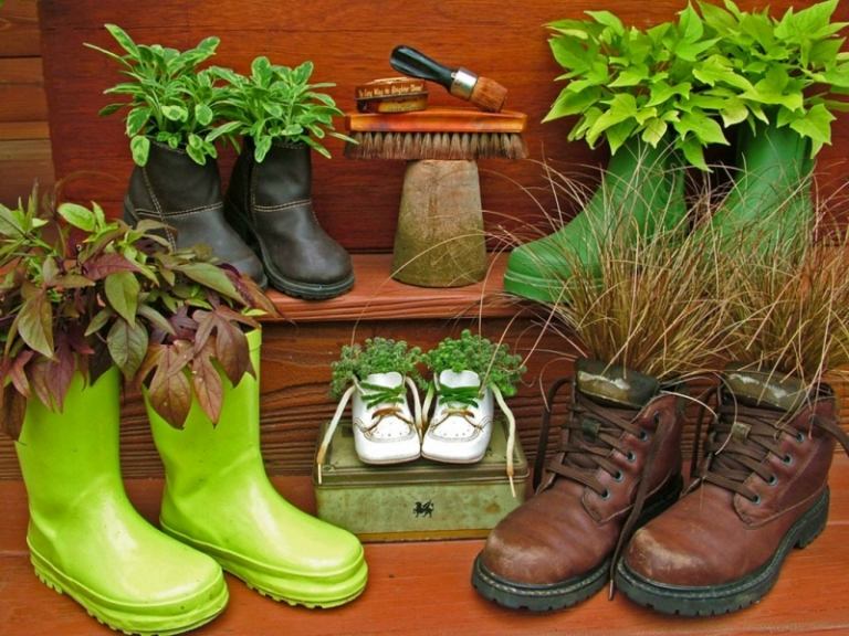 plante sapatos velhos plantas verdes graeser calçados infantis botas de borracha
