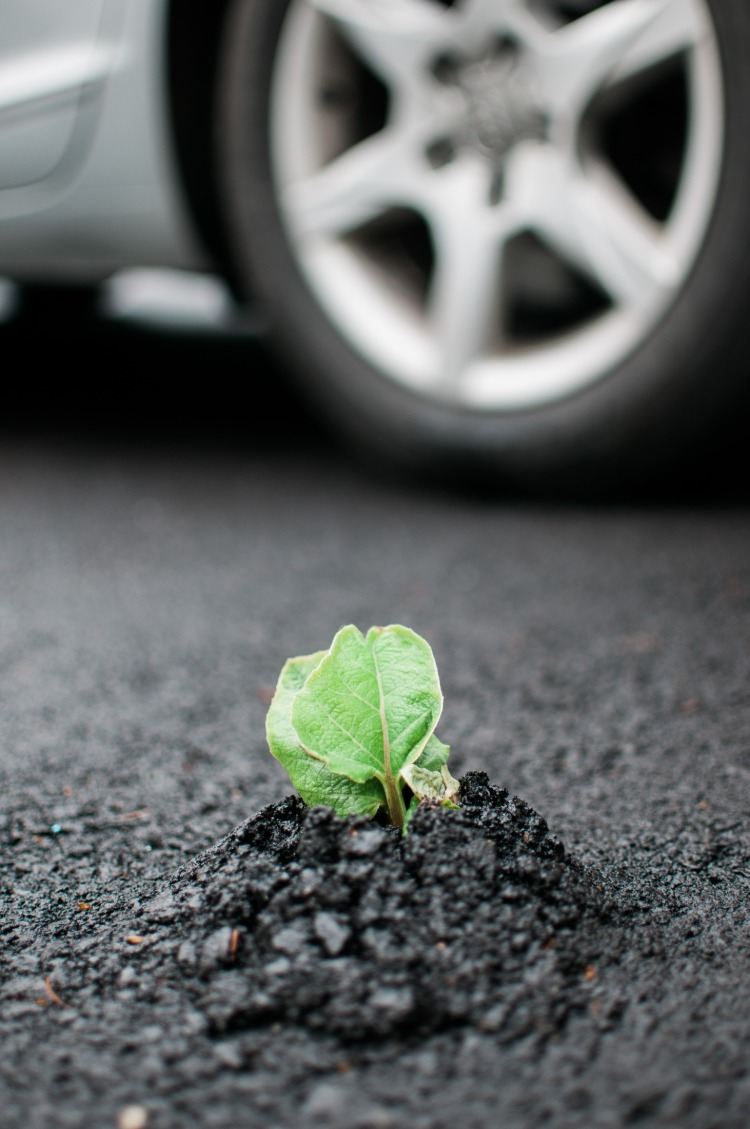 pare as mudanças climáticas, combustíveis alternativos, usina verde, carro de asfalto