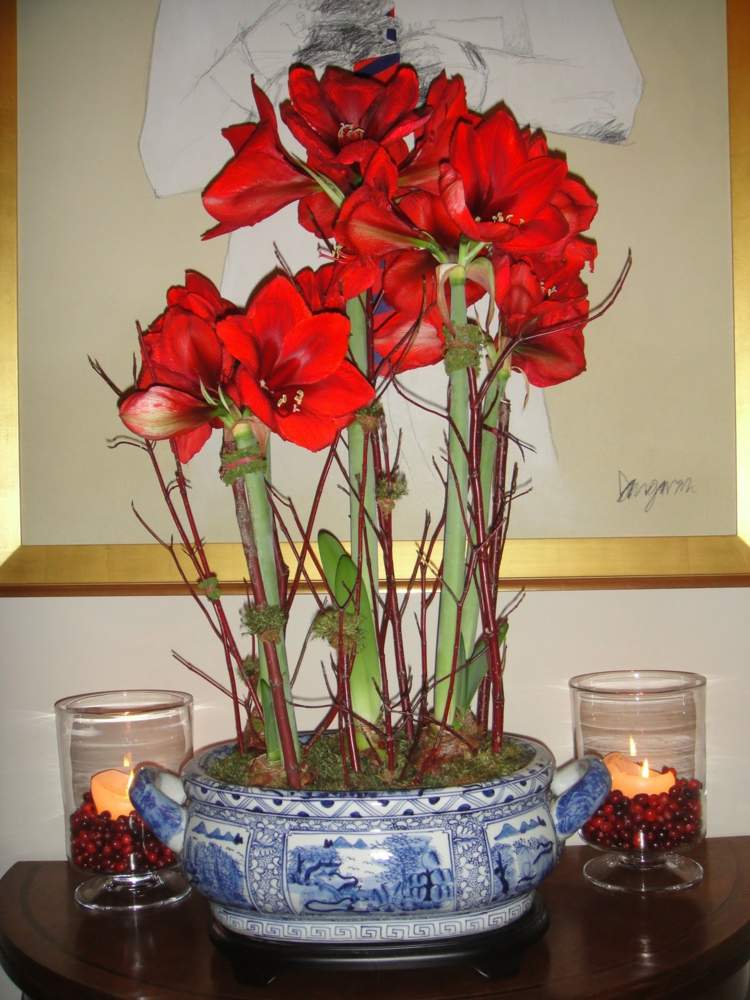 Amaryllis arranjos de flores tigela vermelha ramos estilo chinês velas bagas