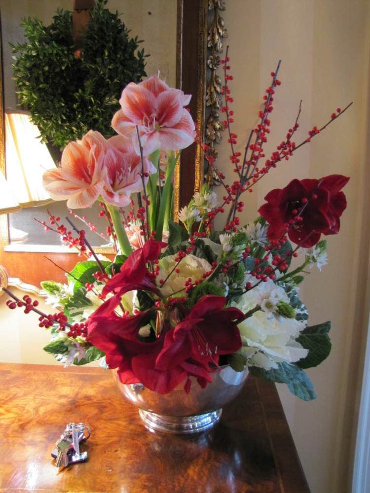 Amaryllis, arranjos de flores, bagas, ramos, decoração de natal