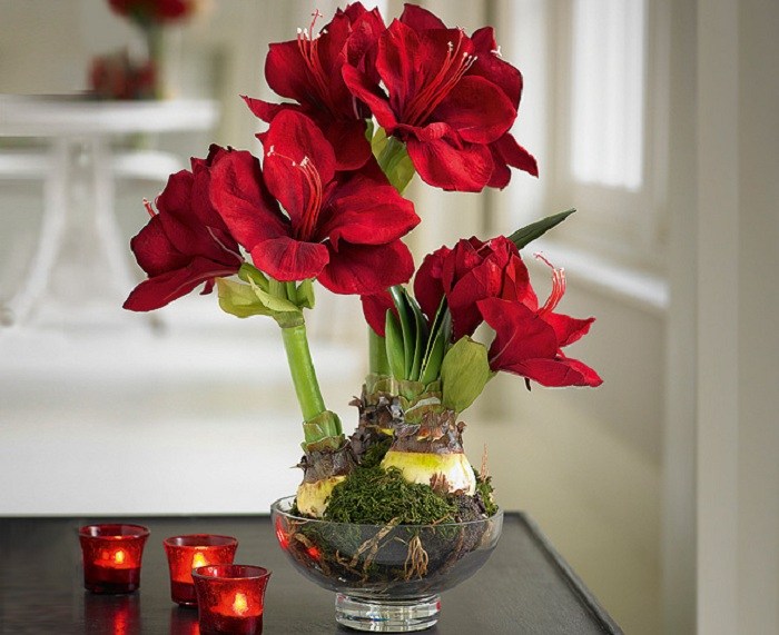 Decoração de mesa de flores para sala de Natal com lanternas