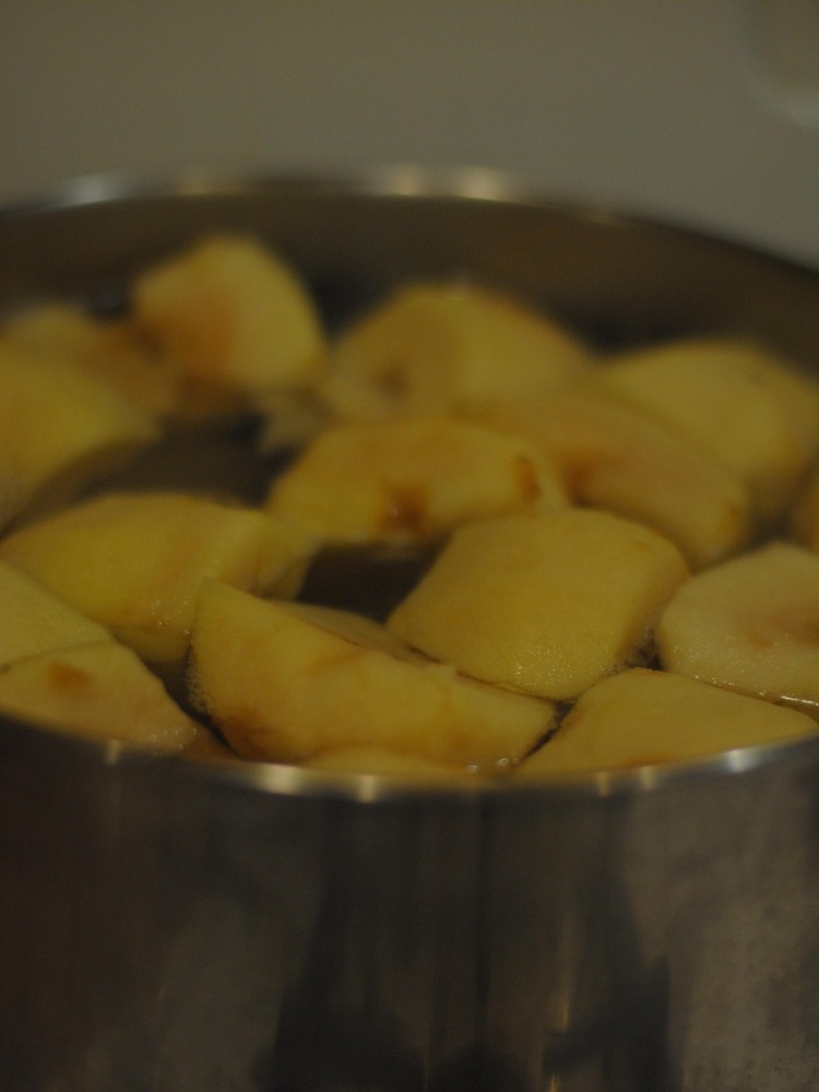 Cozinhando purê de maçã receita-instruções-picando-pedaços de maçã