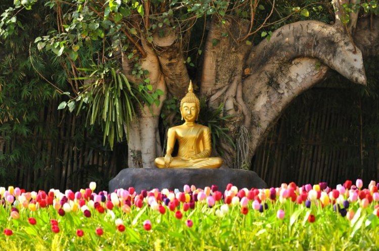 asian-garden-decoration-buddha-estátua-ouro-palm-colour-tupla-bambu
