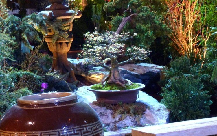arte-asiática-decoração-bonsai-árvore-farol-terracota-vaso de pedra