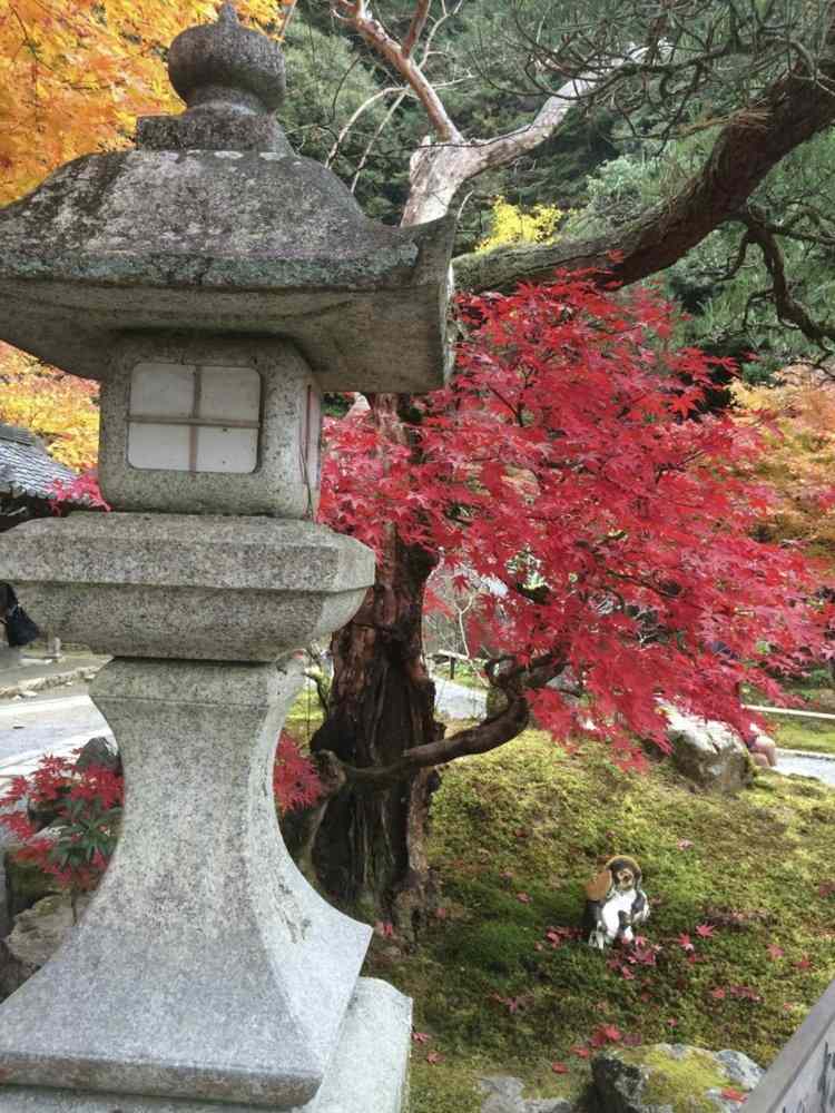 projeto asian-garden-decoration-stone-lighthouse-japanese-maple-garden
