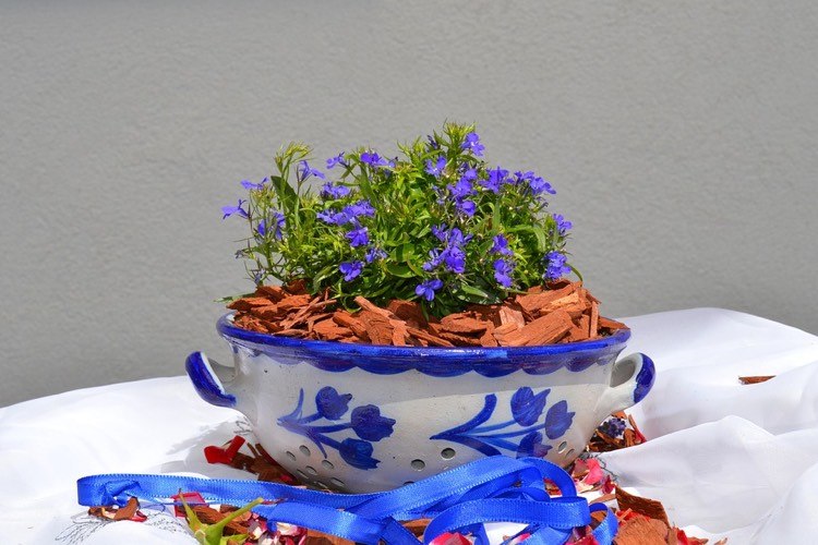 old-do-new-porcelain-bowl-paint-brush-flower pot