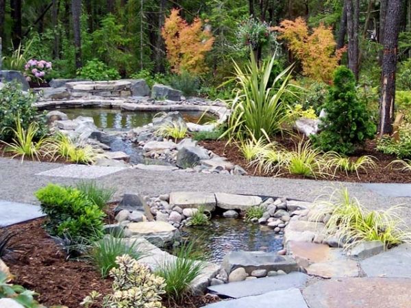 projetar dois lagos de jardim pátio de jardim com avaliação