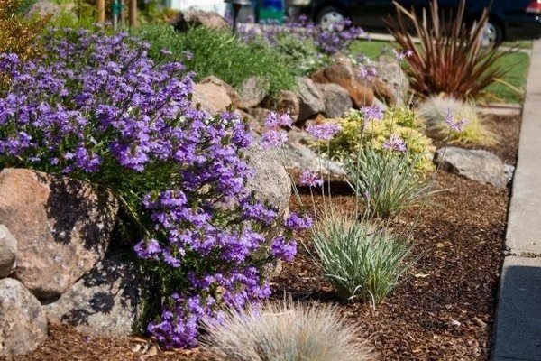 vários tipos de flores de design de jardim com avaliação