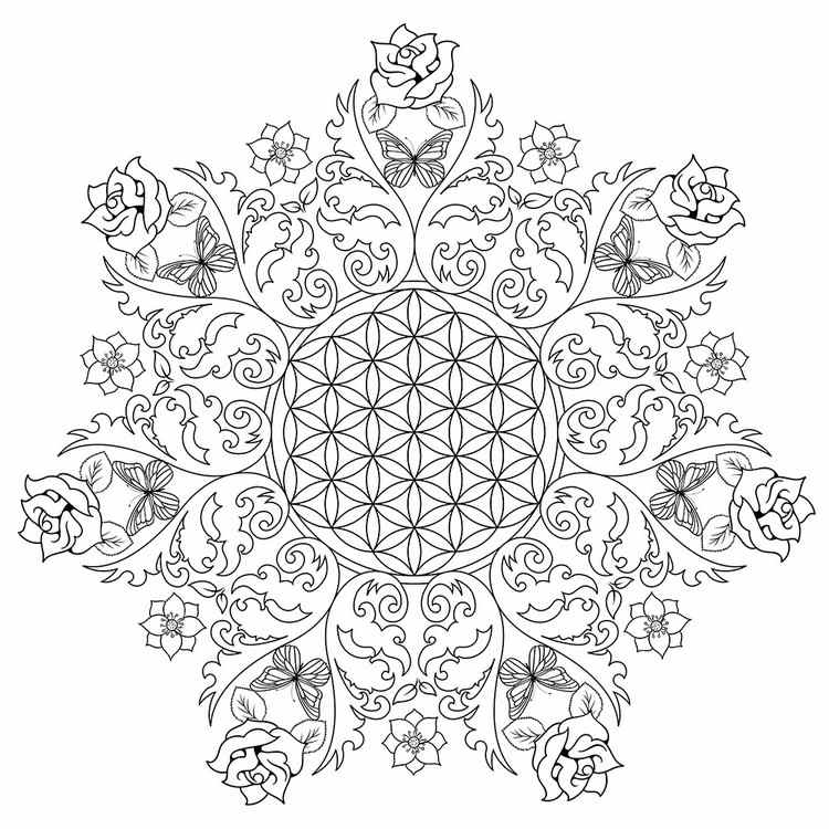 Desenhos para colorir para adultos bonitos-mandala-modelo-colorir