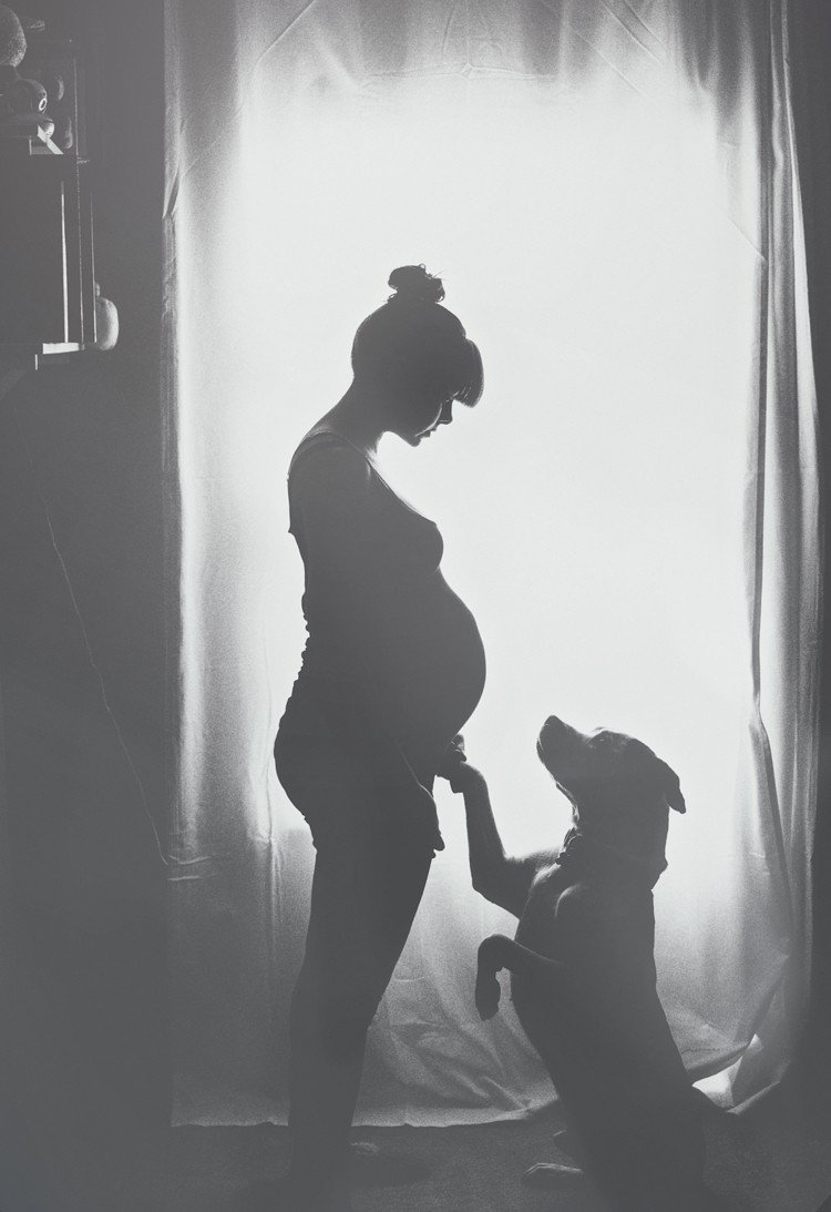 Faça você mesma fotos de barrigas de bebês -fotos de gravidez-ideias-dicas-preto-e-branco-com um cachorro