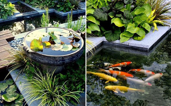 Lago de jardim, banheiro com design de carpa de peixes koi burgbad-santuário-jardim