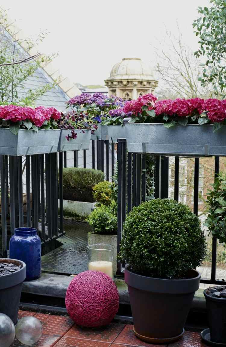 varanda ideias para plantar hortênsia rosa buxo plantador corrimão metal