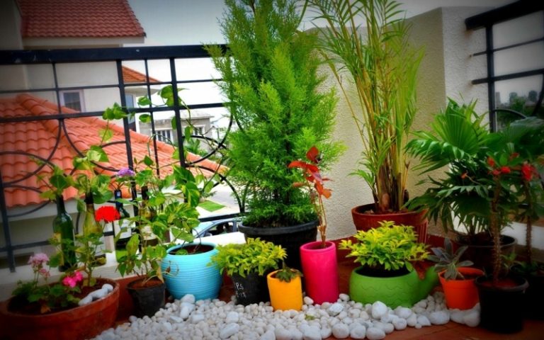 varanda plantas ideias flores plantas perenes seixos branco deco