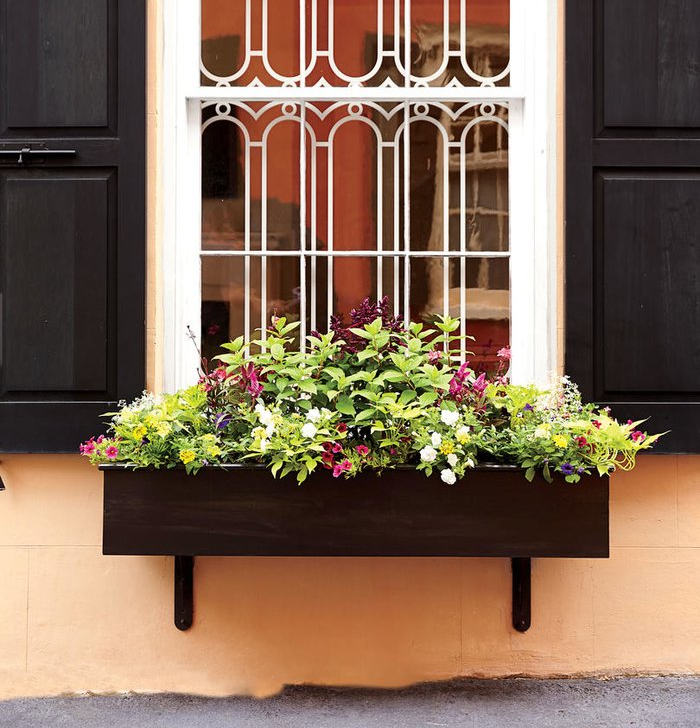 Exemplo de plantas de caixas de janela para o verão