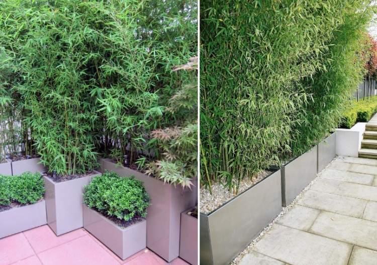 bamboo-kubel-privacy-screens-different-size