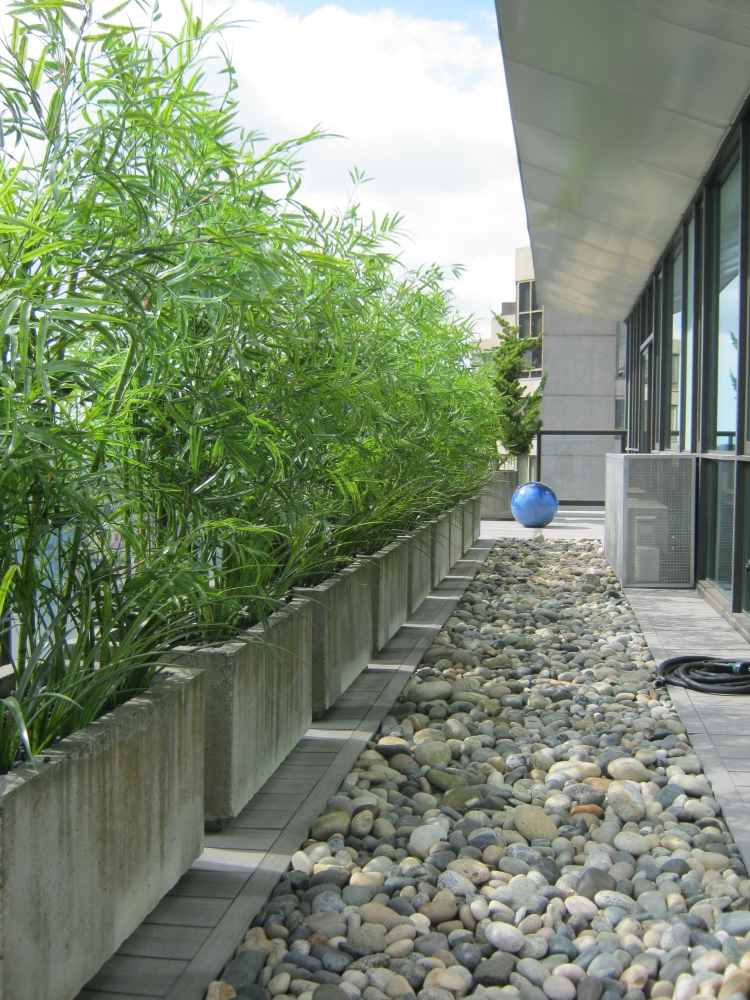 bamboo-kubel-concrete-rectangular-privacy-screen-balcony-gravel-walkway