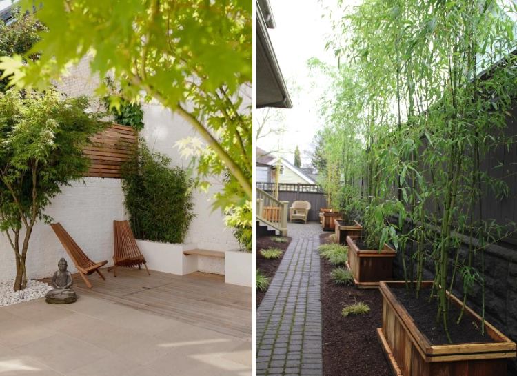 combinação de bambu-kubel-privacidade-zen-jardim-madeira