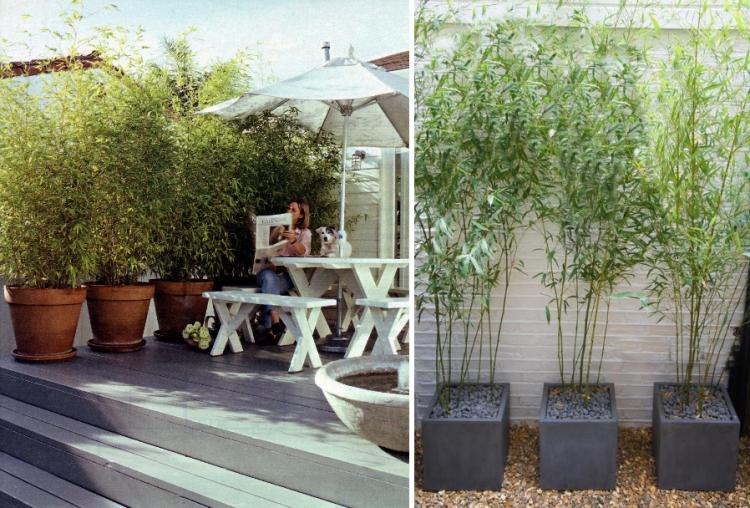bambu-kubel-privacidade-proteção-terraço-vasos-plantas decorativas