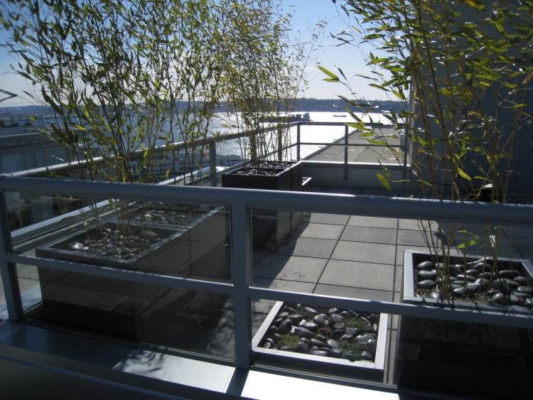 bamboo-kubel-privacy-screen-black-pebbles