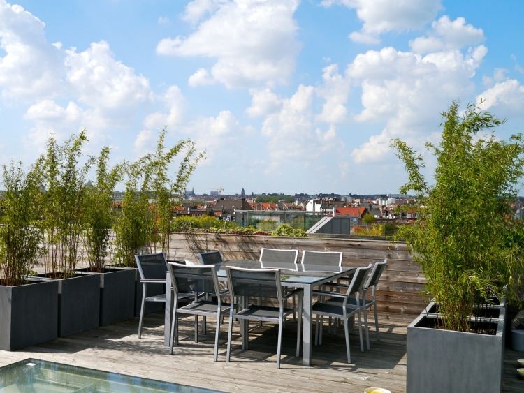 Bambu em um balde de privacidade tela-terraço-cinza-design-contêiner-área de jantar