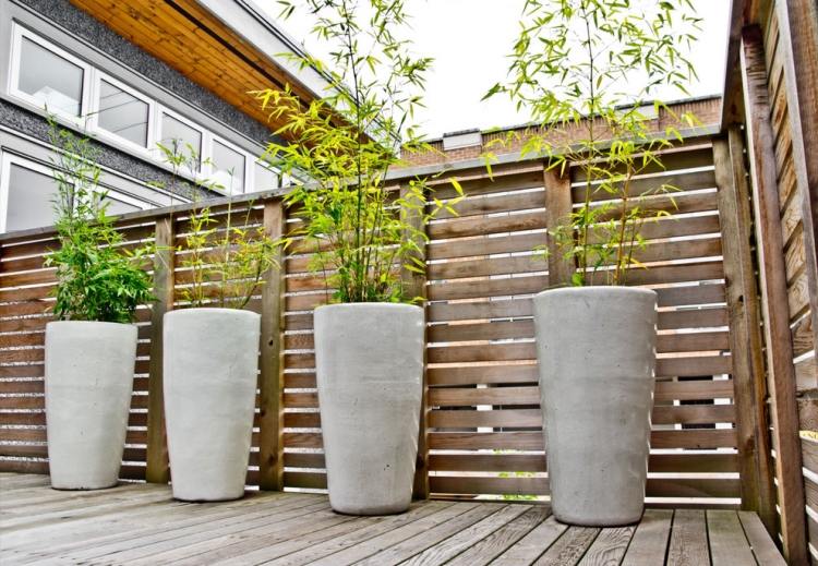 bamboo-kubelpflanze-design-container-concrete-high-round