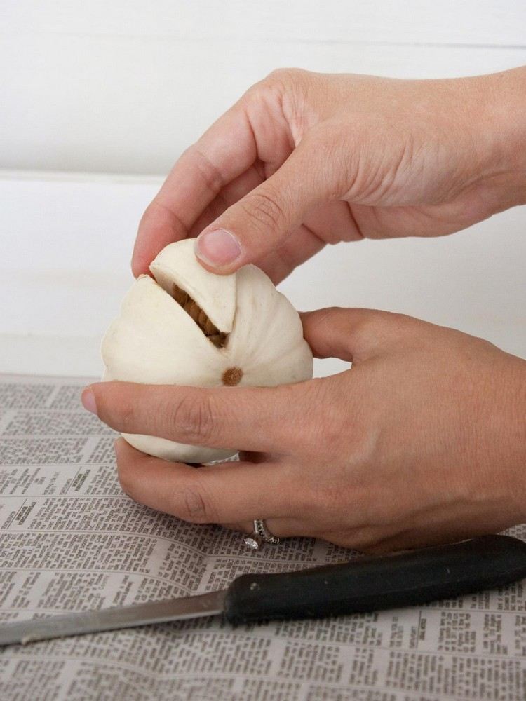 Artesanato-idéias-outono-instruções-branco-mini-corte de abóbora