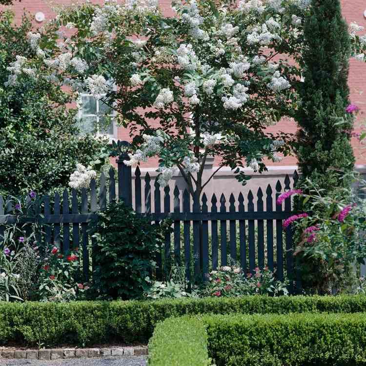 Árvore da casa no pequeno jardim Dicas de cuidados com a Lagerstroemia