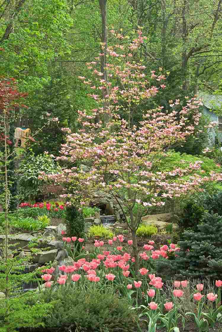 Árvore da casa para o pequeno jardim de dogwood