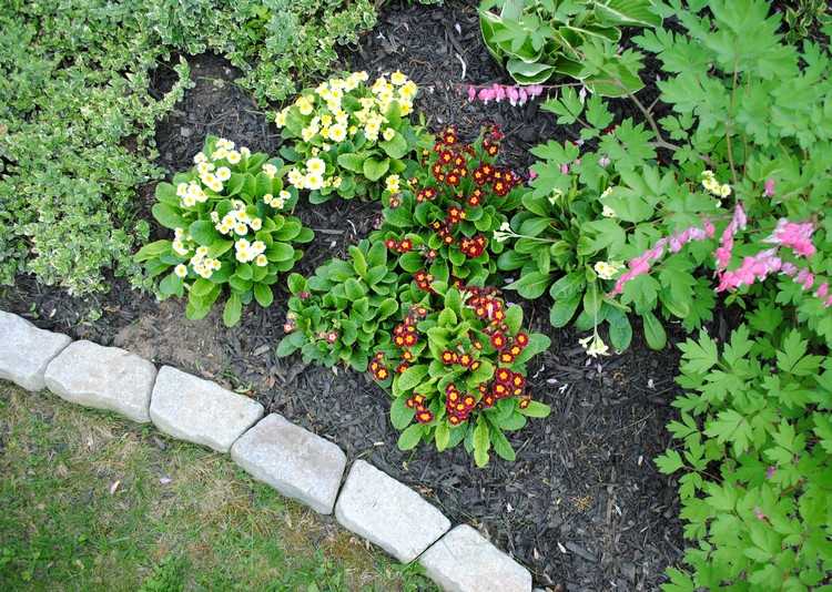 fronteira-pedra-flores-plantas-canteiro de flores-fronteira-granito