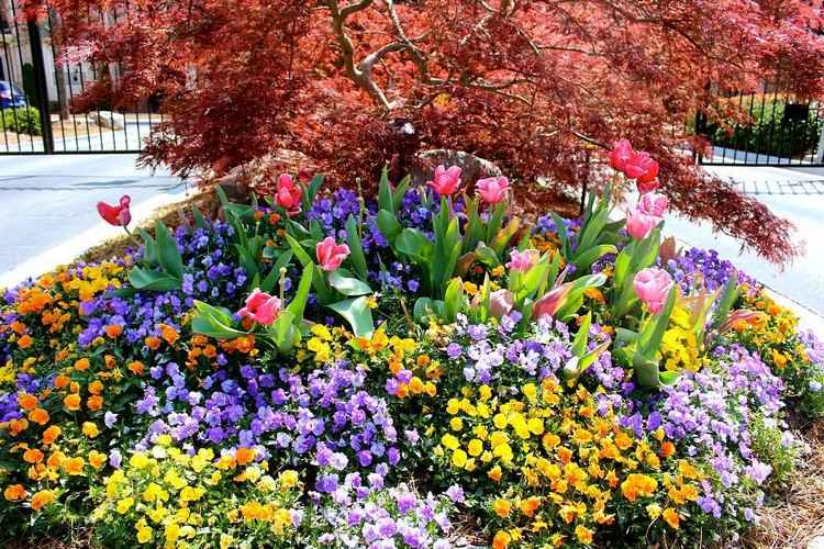 bed-design-ideas-flowerbed-penumbra