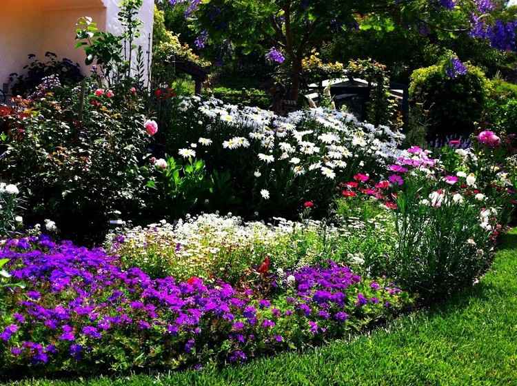 cama-ideias-dicas-plantas
