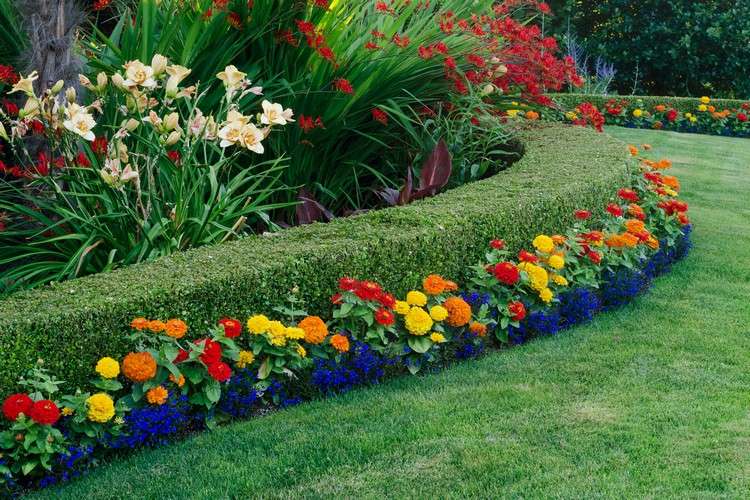 cama-design-ideias-buxo-cerca-viva-flores