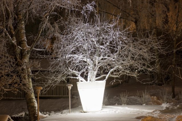 Jardim-destaque-árvore-encenação-pot-em-torno-da-árvore